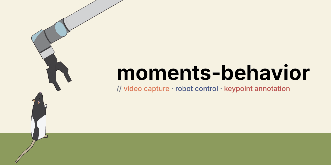 moments-behavior